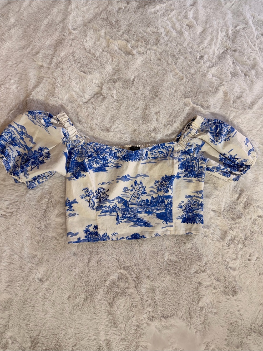 Ann Taylor blue & White Toile Puff-Sleeve Crop Top